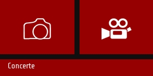 HDV Studio Timisoara